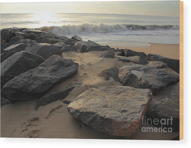 Landscape Wood Print featuring the photograph Walk by the Shore by Everett Houser