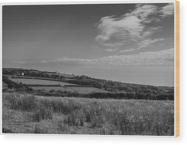 Welsh Countryside Wood Print featuring the photograph Welsh Countryside in mono by Georgia Clare