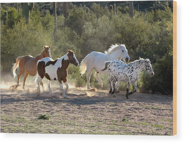 Horses Wood Print featuring the photograph Mixed Herd Arizona by Joanne West
