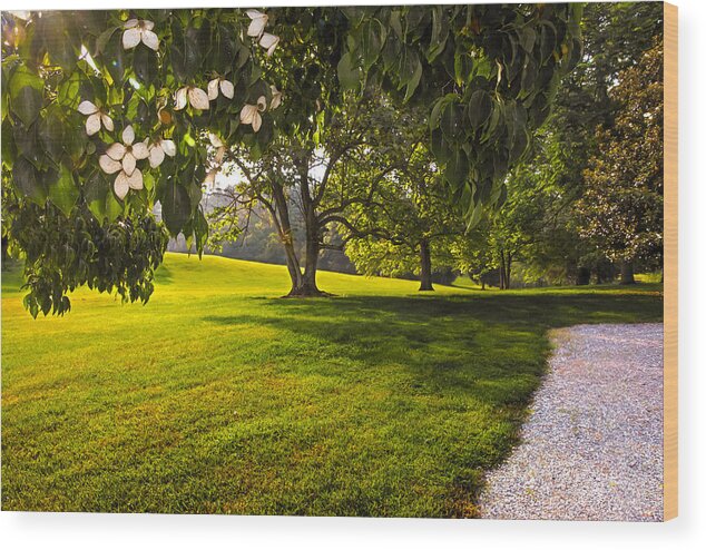 Lawn Wood Print featuring the photograph Pleasant Green by Gene Hilton
