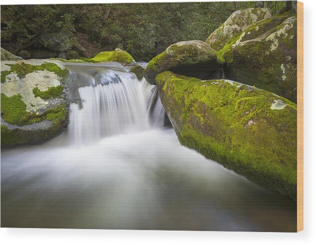 Great Smoky Mountains Wood Print featuring the photograph Roaring Fork Great Smoky Mountains National Park - The Simple Pleasures by Dave Allen