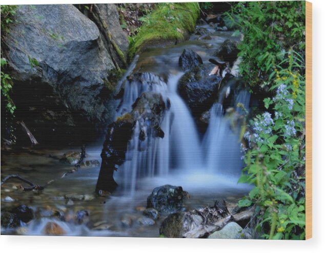 Waterfall Wood Print featuring the photograph Small Falls by Peter DeFina