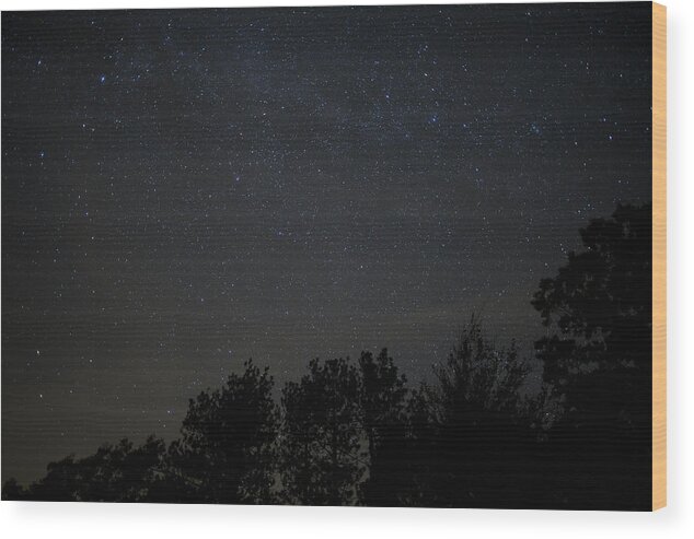 Stars Wood Print featuring the photograph Starry Night by Sara Hudock