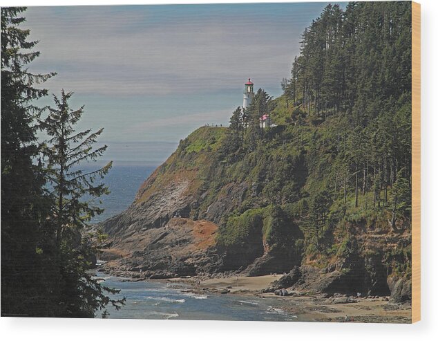 Lighthouse Wood Print featuring the photograph Summer at Heceta Head Lighthouse by Mick Anderson