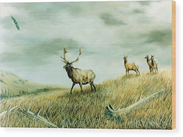 Elk With Cows Wood Print featuring the painting This Way Girls by Lynne Parker
