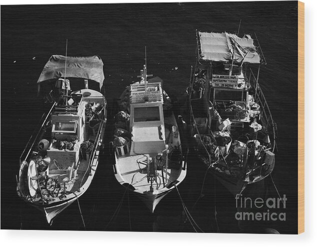 Pafos Wood Print featuring the photograph Three Small Local Greek Cypriot Fishing Boats In Kato Paphos Harbour Republic Of Cyprus by Joe Fox