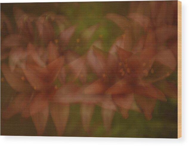 Tiny Ghost Lily Wood Print featuring the photograph Tiny Ghost Lily by Sherri Meyer