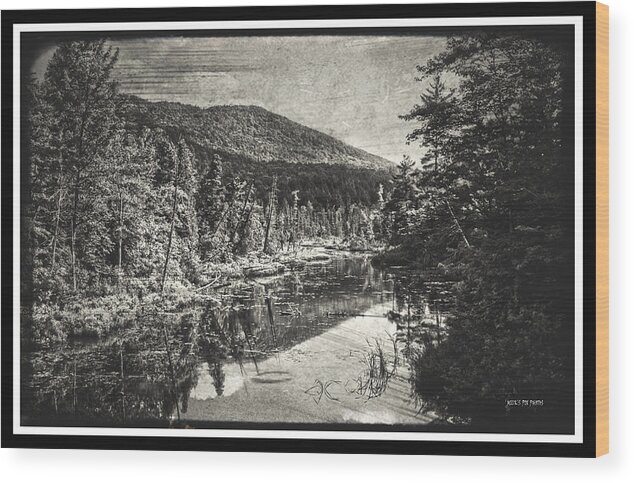 Adirondack Mountains Wood Print featuring the photograph 082118-4 by Mike Davis