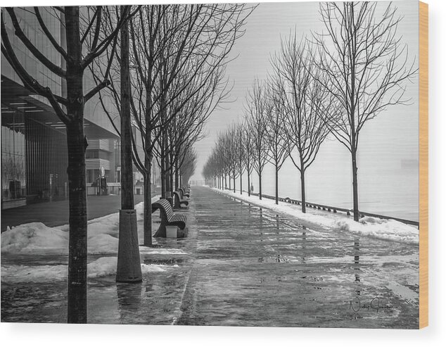 Sugar Beach Wood Print featuring the photograph Path Through Fog by Nicky Jameson