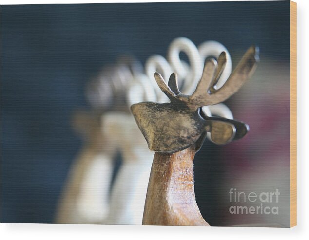 Christmas Greetings Cards Wood Print featuring the photograph Seasons Greetings #2 by Lynn England
