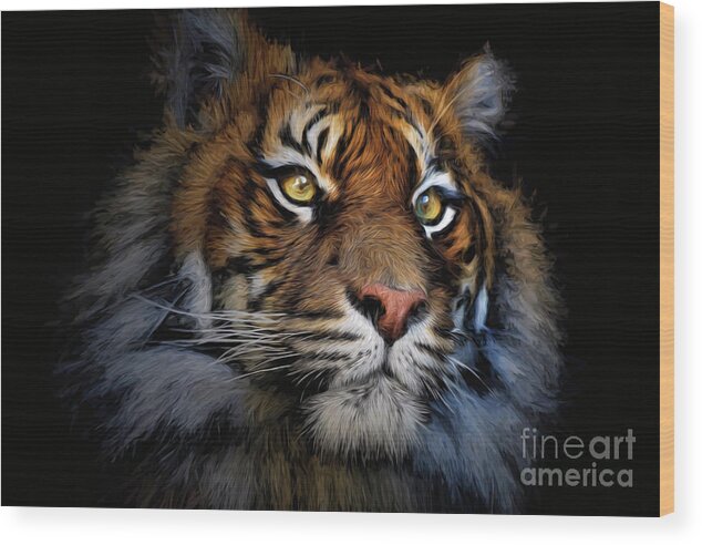 Animal Wood Print featuring the photograph Sumatran tiger #1 by Sheila Smart Fine Art Photography