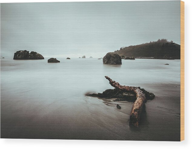 Trinidad Beach Wood Print featuring the photograph Trinidad California #1 by Lee Harland