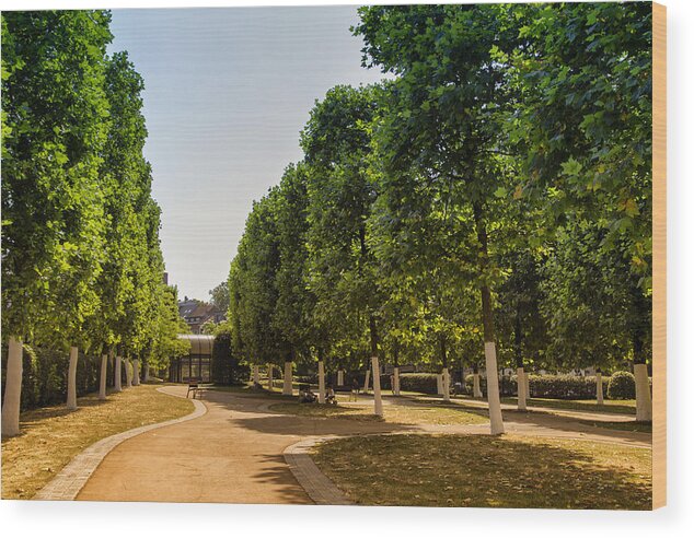 Brussels Wood Print featuring the photograph A Belgian City Park by Georgia Clare