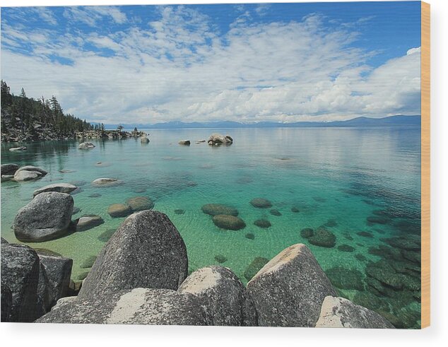 Lake Tahoe Wood Print featuring the photograph Aqua Heaven by Sean Sarsfield