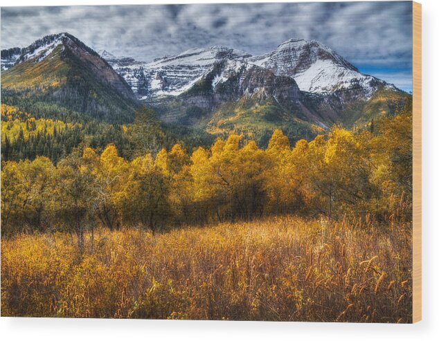 Mount Timpanogos Wood Print featuring the photograph Autumn Colors on Mount Timpanogos by Douglas Pulsipher