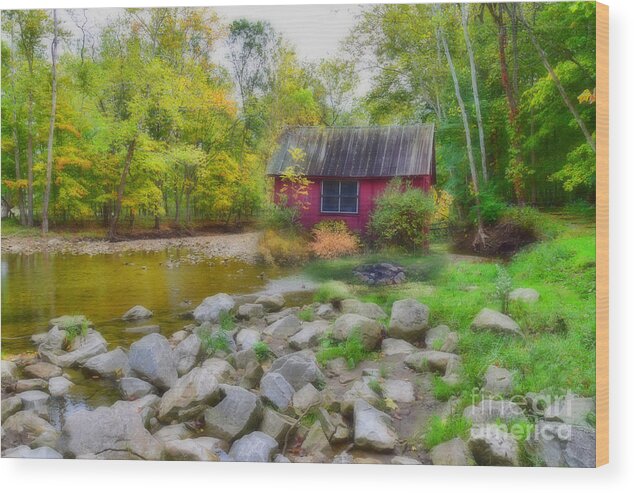 Red Barns Wood Print featuring the photograph Autumn Softness #1 by Reese Lewis
