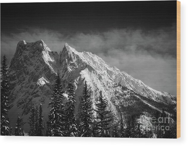 Mountain Wood Print featuring the photograph Basking in the Light by David Hillier
