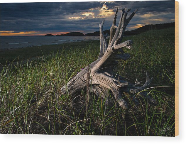 Driftwood Wood Print featuring the photograph Beached by Doug Gibbons