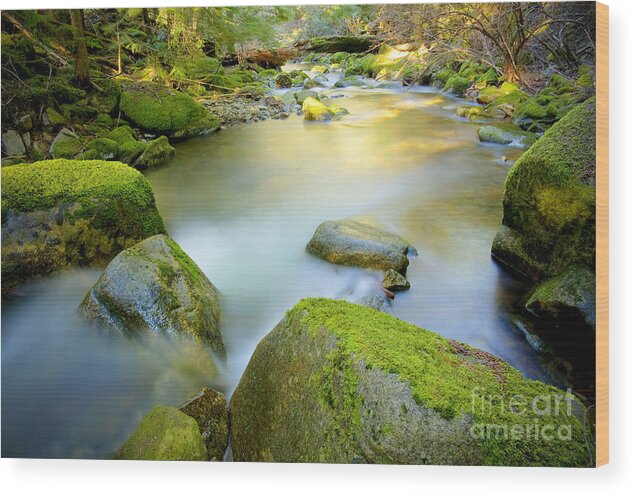 Creek Wood Print featuring the photograph Beauty Creek by Idaho Scenic Images Linda Lantzy
