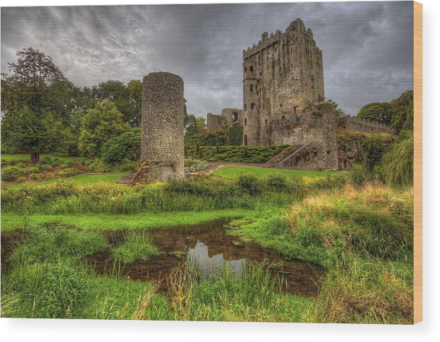 Castle Wood Print featuring the photograph Blarney Castle Ireland by Douglas Berry