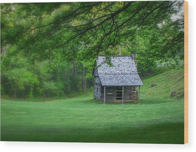 Landscape Wood Print featuring the photograph Cabin on the Blue Ridge Parkway - 1 by Joye Ardyn Durham