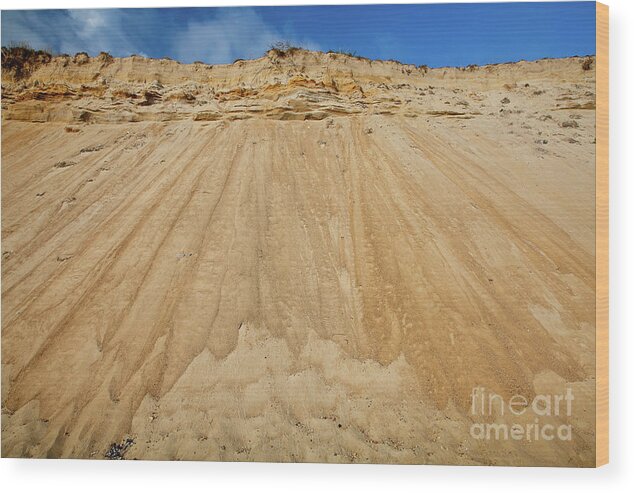 Barnstable County Wood Print featuring the photograph Cliffward by Susan Cole Kelly