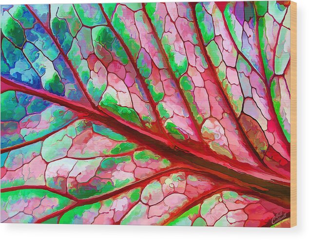 Nature Wood Print featuring the digital art Colorful Coleus Abstract 5 by ABeautifulSky Photography by Bill Caldwell