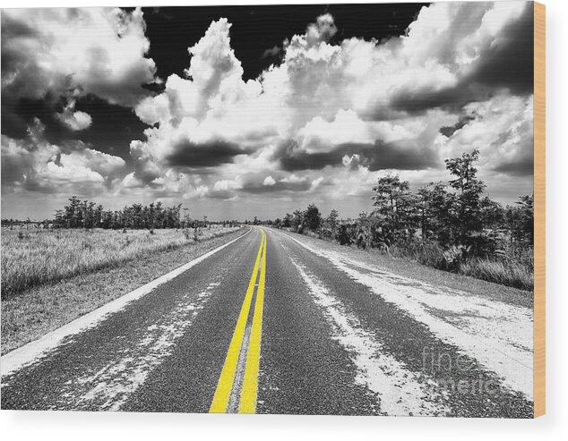 Down The Everglades Fusion Wood Print featuring the photograph Down the Everglades Fusion by John Rizzuto