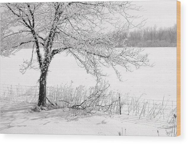 Canada Wood Print featuring the photograph Early Frost by Doug Gibbons