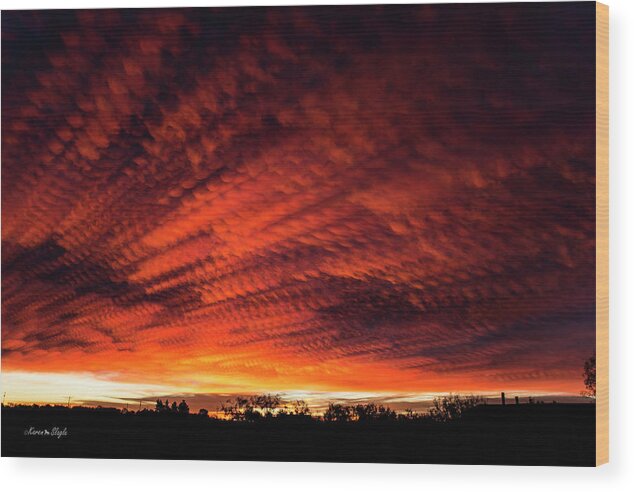 Sky Scape Wood Print featuring the photograph Fiery Sky 7 by Karen Slagle
