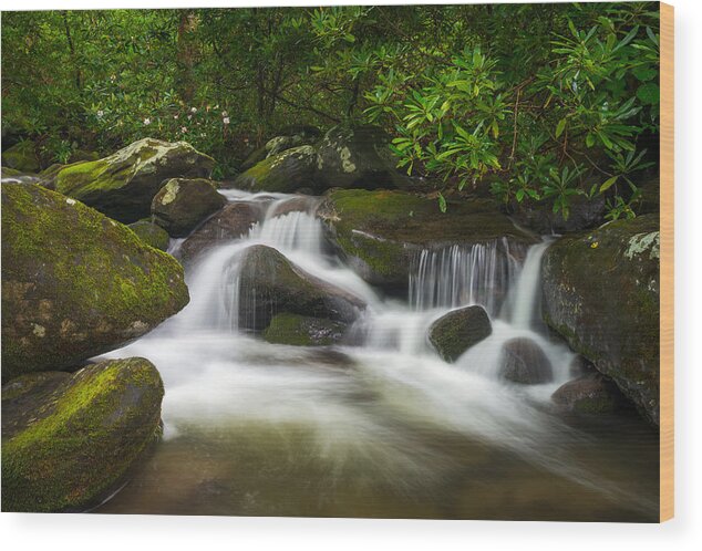 Great Smoky Mountains Wood Print featuring the photograph Great Smoky Mountains Gatlinburg TN Roaring Fork Waterfall Nature by Dave Allen