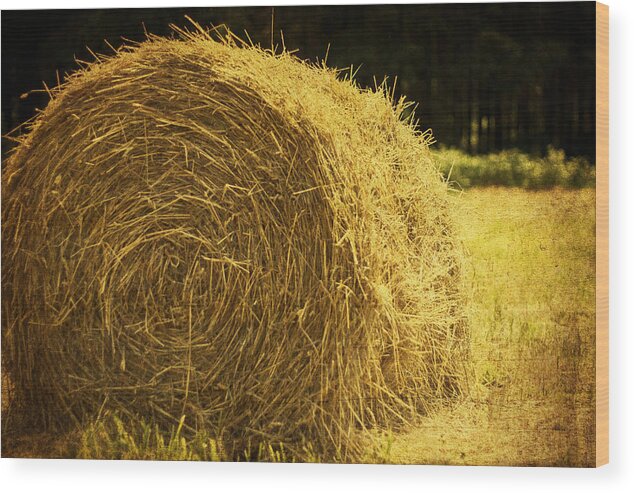 Hay Bale Wood Print featuring the photograph Harvest Time by Georgia Clare