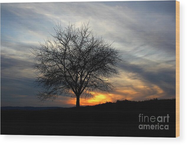Landscape Wood Print featuring the photograph Hillside Morning by Everett Houser