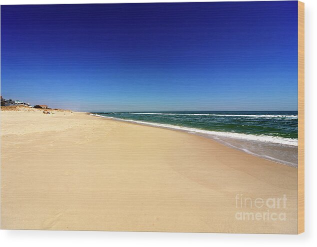 Holgate Beach At Lbi Wood Print featuring the photograph Holgate Beach at Long Beach Island by John Rizzuto