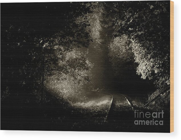Train Tracks Wood Print featuring the photograph Into Your Unknown by David Hillier