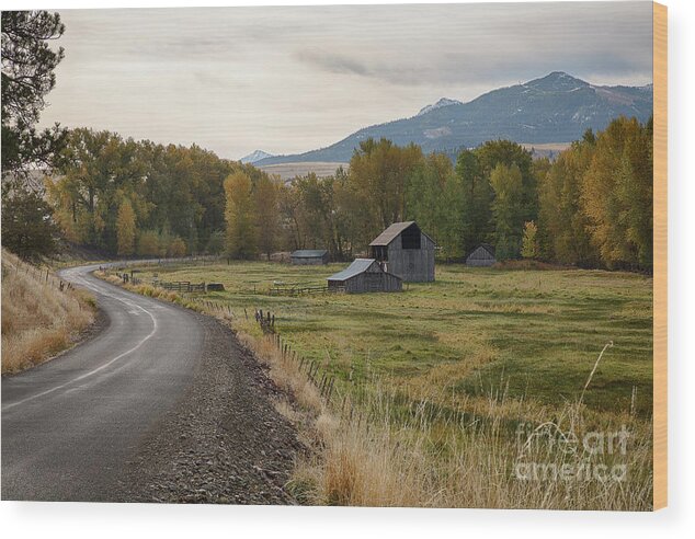 Eastern Oregon Wood Print featuring the photograph Lostine Valley by Idaho Scenic Images Linda Lantzy