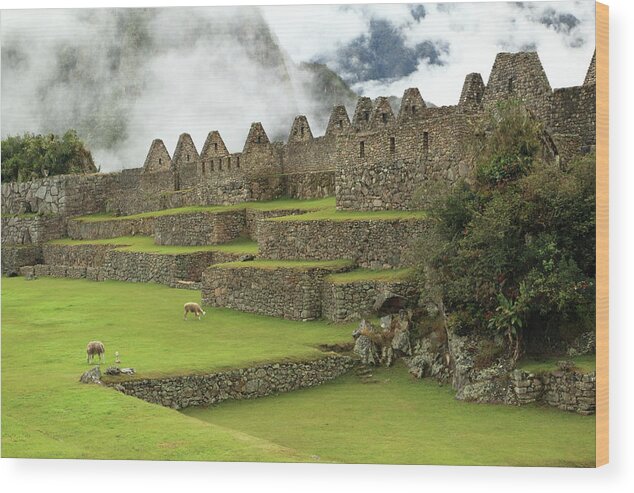 Machu Picchu Wood Print featuring the photograph Machu Picchu Peru by Roupen Baker