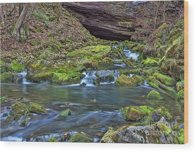 Prints Wood Print featuring the photograph Maiden Springs by Laurinda Bowling