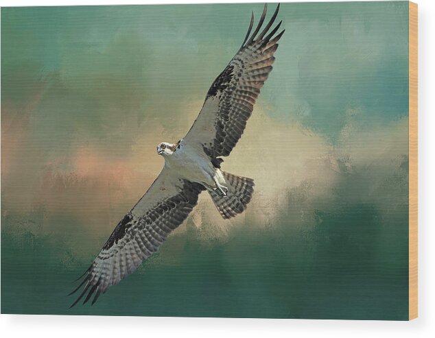 Osprey Wood Print featuring the photograph Master Fisher by Donna Kennedy
