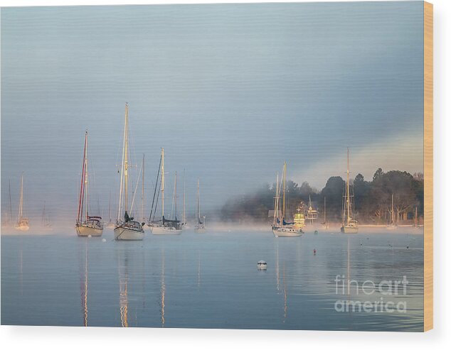 America Wood Print featuring the photograph Misty Morning by Susan Cole Kelly