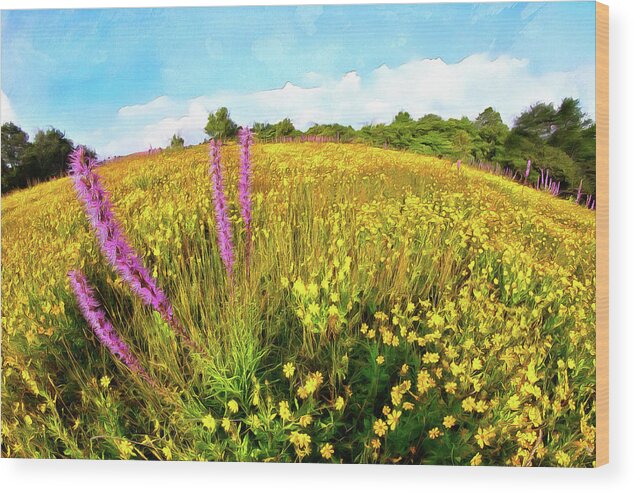 Blue Ridge Wood Print featuring the painting Mountain of Summer Flowers in the Blue Ridge AP by Dan Carmichael