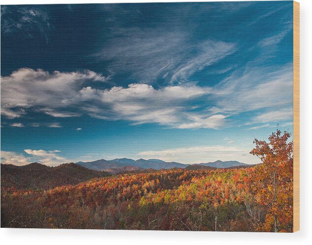 Asheville Wood Print featuring the photograph Mt. Mitchell by Joye Ardyn Durham
