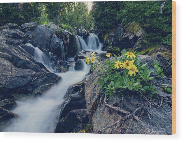 Flower By Stream Wood Print featuring the photograph Nature Boutique by Gene Garnace