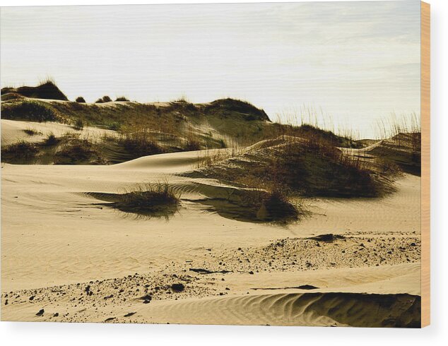 North Carolina Wood Print featuring the photograph North Carolina Sand Dunes by Louis Dallara