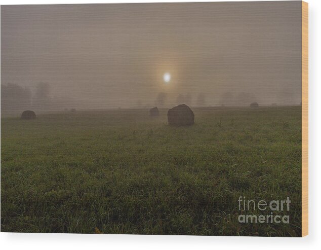 Addington Wood Print featuring the photograph Ontario Highlands Dawn by Roger Monahan