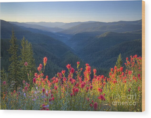 Idaho Wood Print featuring the photograph Painted Forest by Idaho Scenic Images Linda Lantzy