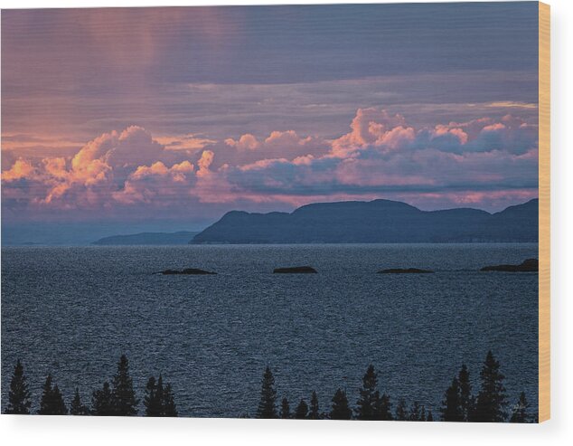Evening Wood Print featuring the photograph Pic Island by Doug Gibbons