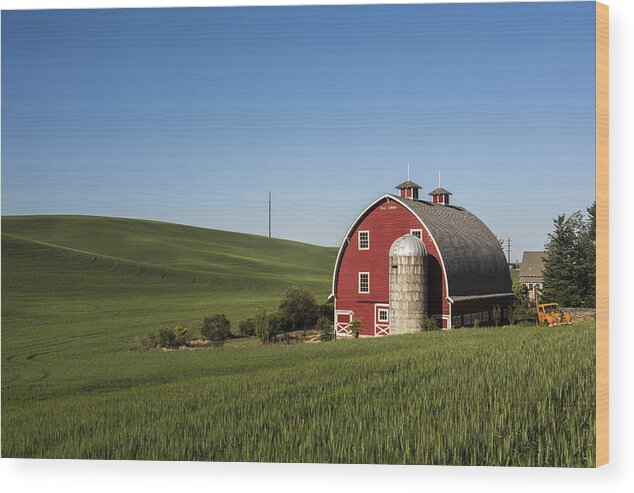 Agriculture Wood Print featuring the photograph Preserved by Jon Glaser
