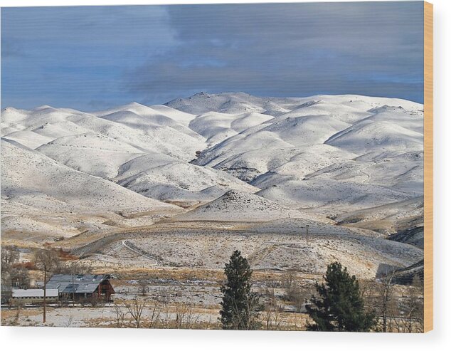 Sierra Nevada Wood Print featuring the photograph Pretty In White by Donna Kennedy