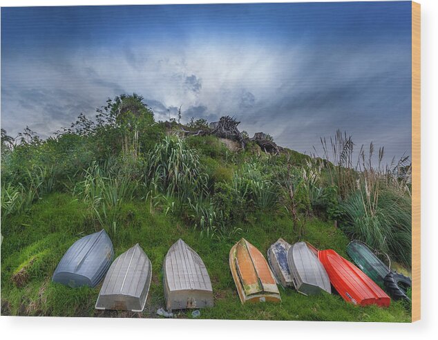 New Zealand Wood Print featuring the photograph Pukenui - New Zealand by Michael Lees